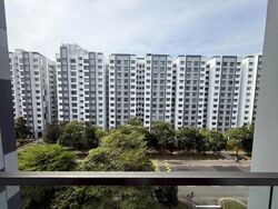 The Canopy (D27), Condominium #639051941